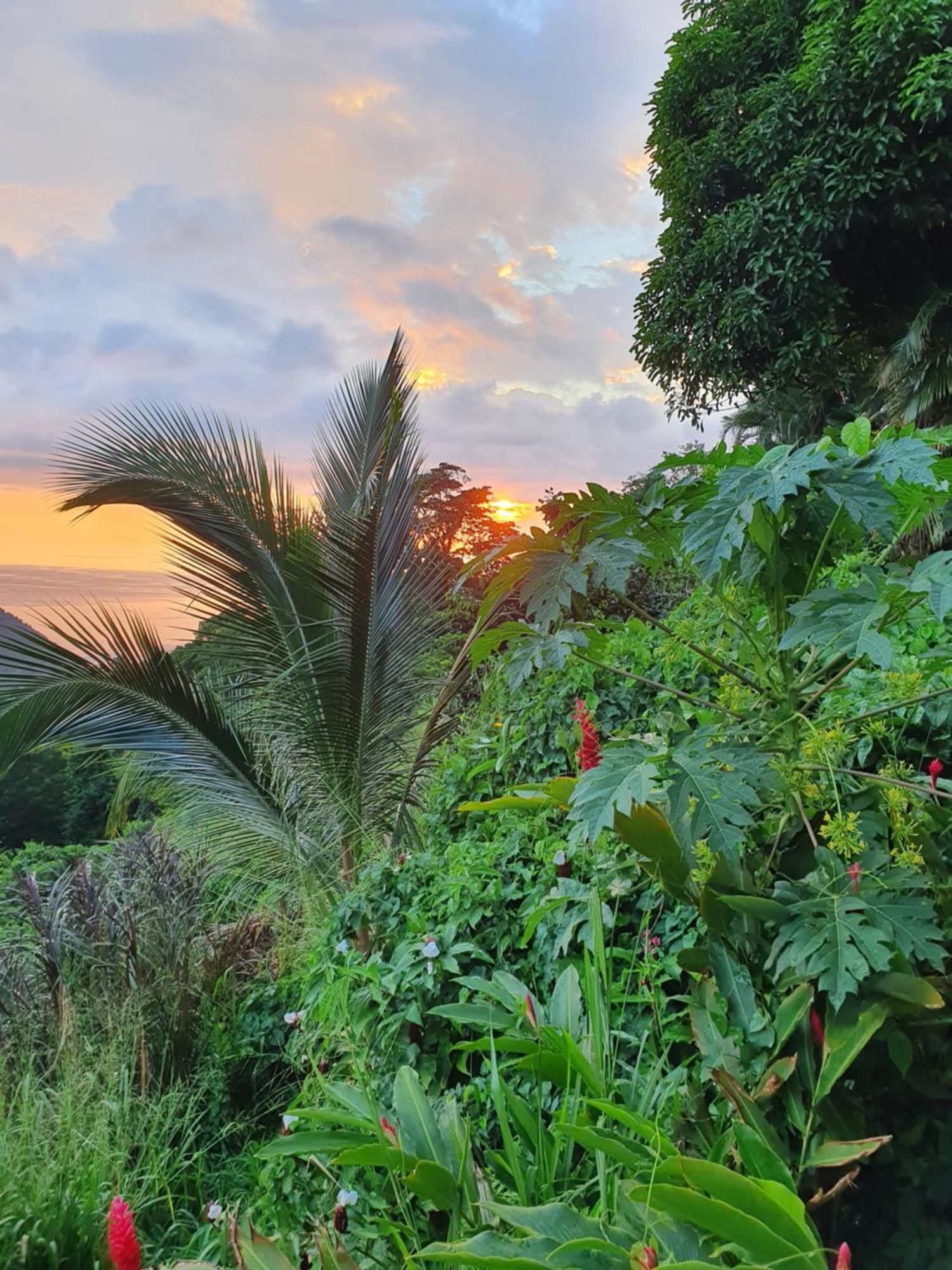 Beausejour Guest House Pointe-Noire Esterno foto